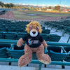 Lion Plush Doll with IE 66ers Hoodie