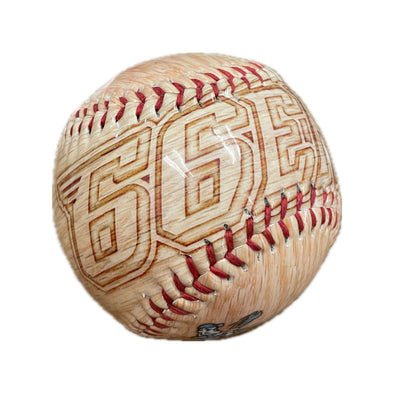 Inland Empire 66ers of San Bernardino Wooden-Style Baseball